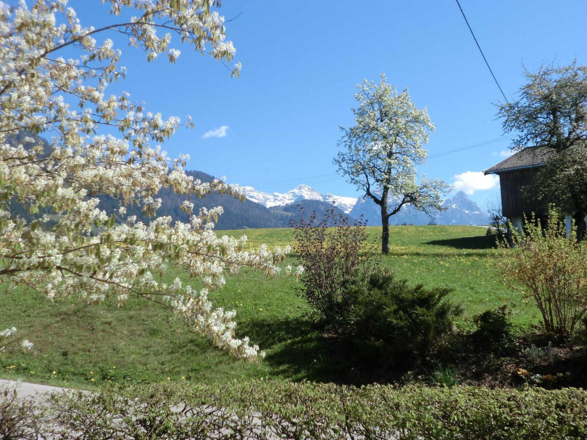 Apartment Vornbichlhof *