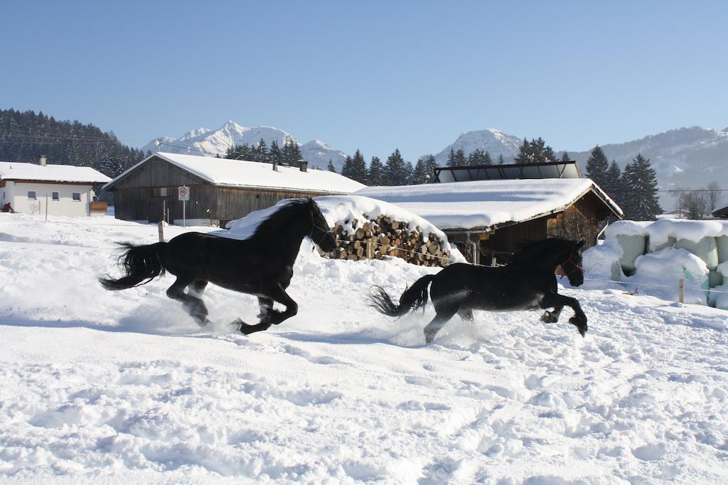 Vornbichlhof Fieberbrunn